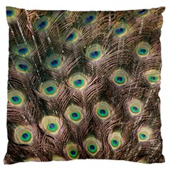 Bird Peacock Tail Feathers Standard Flano Cushion Case (two Sides) by Pakrebo