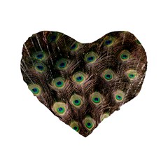 Bird Peacock Tail Feathers Standard 16  Premium Flano Heart Shape Cushions by Pakrebo