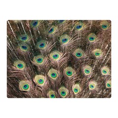 Bird Peacock Tail Feathers Double Sided Flano Blanket (mini)  by Pakrebo