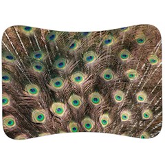 Bird Peacock Tail Feathers Velour Seat Head Rest Cushion