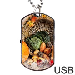 Pumpkin Vegetables Autumn Dog Tag Usb Flash (one Side) by Pakrebo