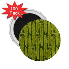 Fern Texture Nature Leaves 2 25  Magnets (100 Pack)  by Nexatart