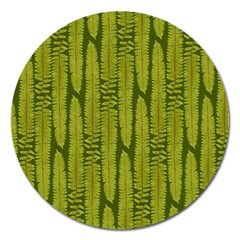 Fern Texture Nature Leaves Magnet 5  (round) by Nexatart