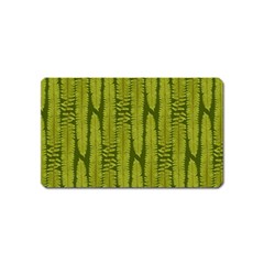 Fern Texture Nature Leaves Magnet (name Card) by Nexatart