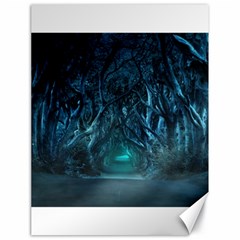 Trees Road Moonlight Avenue Canvas 18  X 24  by Nexatart