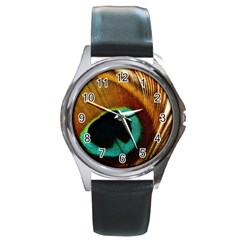 Feather Peacock Feather Peacock Round Metal Watch by Nexatart