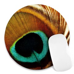 Feather Peacock Feather Peacock Round Mousepads by Nexatart