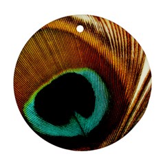 Feather Peacock Feather Peacock Ornament (round) by Nexatart