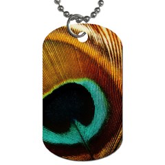 Feather Peacock Feather Peacock Dog Tag (two Sides) by Nexatart