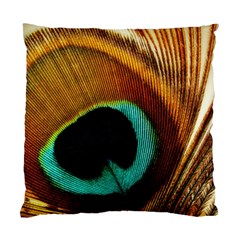 Feather Peacock Feather Peacock Standard Cushion Case (one Side)