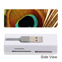 Feather Peacock Feather Peacock Memory Card Reader (stick) by Nexatart