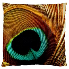 Feather Peacock Feather Peacock Large Cushion Case (one Side) by Nexatart