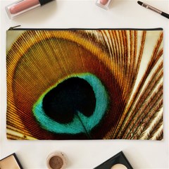 Feather Peacock Feather Peacock Cosmetic Bag (xxxl) by Nexatart