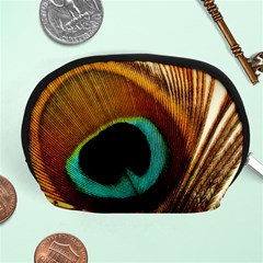 Feather Peacock Feather Peacock Accessory Pouch (medium) by Nexatart