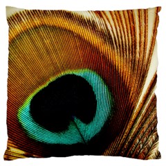 Feather Peacock Feather Peacock Standard Flano Cushion Case (two Sides) by Nexatart