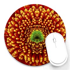 Flower Dahlia Red Petals Color Round Mousepads by Nexatart