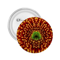 Flower Dahlia Red Petals Color 2 25  Buttons