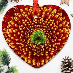 Flower Dahlia Red Petals Color Ornament (heart) by Nexatart