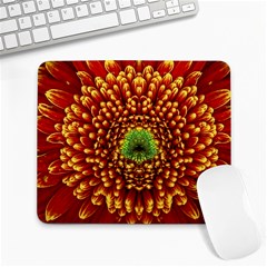 Flower Dahlia Red Petals Color Large Mousepads by Nexatart