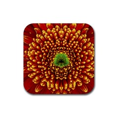 Flower Dahlia Red Petals Color Rubber Coaster (square)  by Nexatart