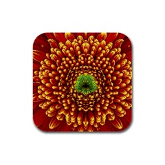 Flower Dahlia Red Petals Color Rubber Square Coaster (4 Pack)  by Nexatart