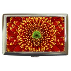 Flower Dahlia Red Petals Color Cigarette Money Case by Nexatart