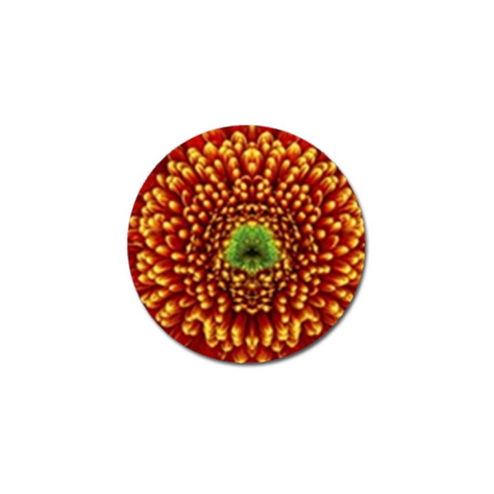 Flower Dahlia Red Petals Color Golf Ball Marker