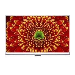 Flower Dahlia Red Petals Color Business Card Holder by Nexatart