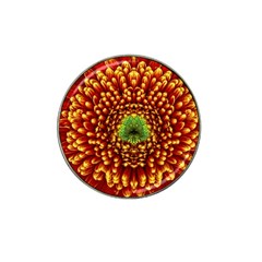 Flower Dahlia Red Petals Color Hat Clip Ball Marker (10 Pack) by Nexatart