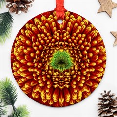 Flower Dahlia Red Petals Color Round Ornament (two Sides) by Nexatart