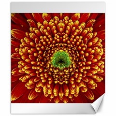 Flower Dahlia Red Petals Color Canvas 8  X 10  by Nexatart