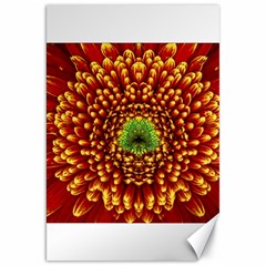 Flower Dahlia Red Petals Color Canvas 20  X 30  by Nexatart