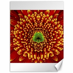 Flower Dahlia Red Petals Color Canvas 36  X 48  by Nexatart