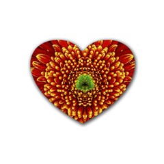 Flower Dahlia Red Petals Color Heart Coaster (4 Pack)  by Nexatart