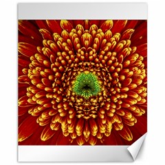 Flower Dahlia Red Petals Color Canvas 11  X 14  by Nexatart