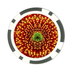 Flower Dahlia Red Petals Color Poker Chip Card Guard (10 Pack) by Nexatart