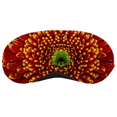 Flower Dahlia Red Petals Color Sleeping Mask by Nexatart