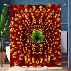 Flower Dahlia Red Petals Color Shower Curtain 60  X 72  (medium)  by Nexatart