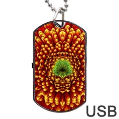 Flower Dahlia Red Petals Color Dog Tag Usb Flash (two Sides) by Nexatart