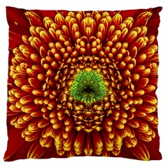 Flower Dahlia Red Petals Color Large Cushion Case (two Sides) by Nexatart