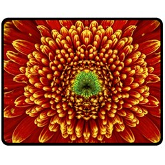 Flower Dahlia Red Petals Color Double Sided Fleece Blanket (medium)  by Nexatart