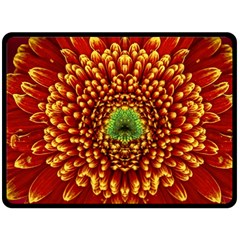 Flower Dahlia Red Petals Color Double Sided Fleece Blanket (large)  by Nexatart