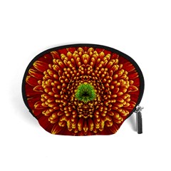 Flower Dahlia Red Petals Color Accessory Pouch (small) by Nexatart