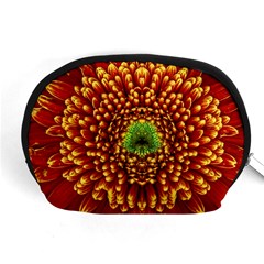 Flower Dahlia Red Petals Color Accessory Pouch (medium) by Nexatart