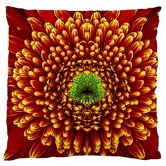 Flower Dahlia Red Petals Color Standard Flano Cushion Case (one Side) by Nexatart