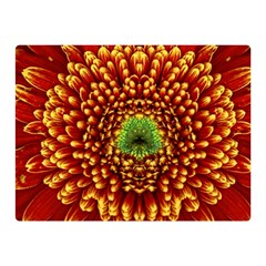 Flower Dahlia Red Petals Color Double Sided Flano Blanket (mini)  by Nexatart