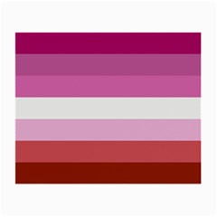 Lesbian Pride Flag Small Glasses Cloth by lgbtnation