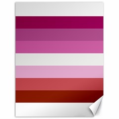 Lesbian Pride Flag Canvas 18  X 24 