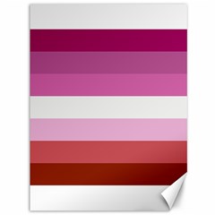 Lesbian Pride Flag Canvas 36  X 48 