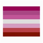 Lesbian Pride Flag Small Glasses Cloth (2 Sides) Back